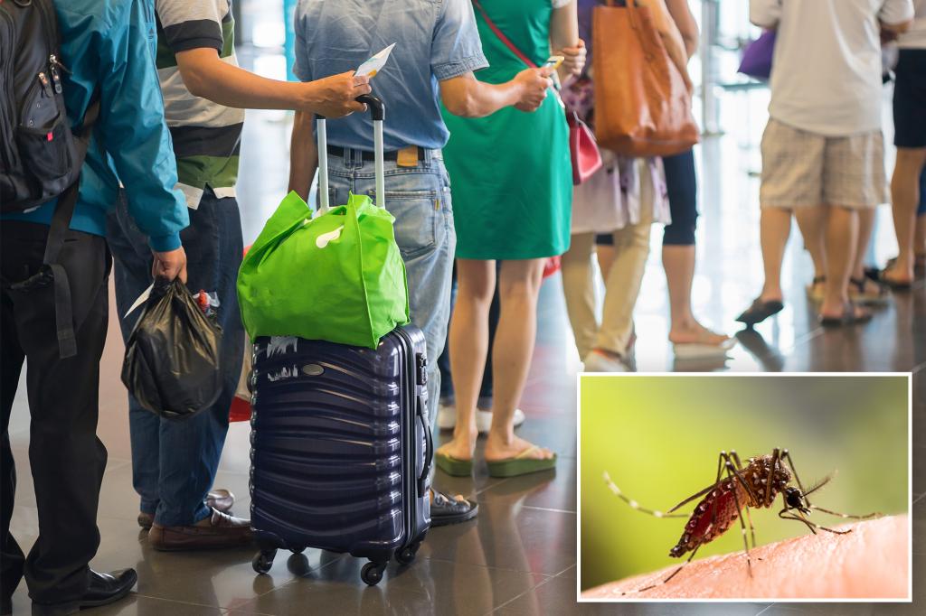 What is airport and baggage malaria? The cases are increasing, the study warns